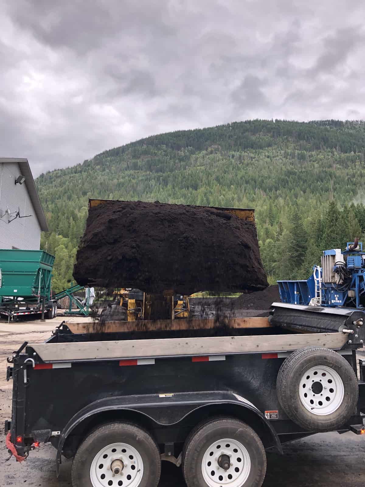 Dark brown landscape mulch being loaded into utility trailer