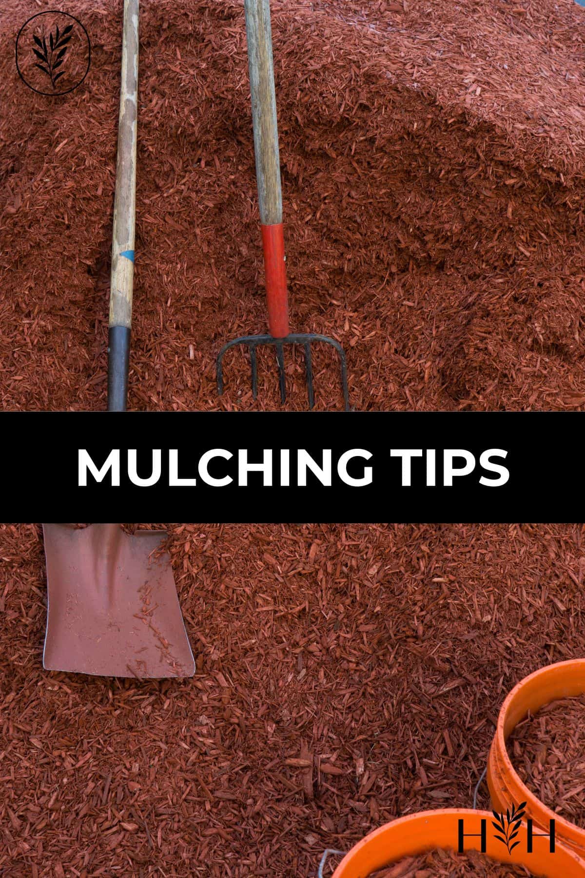 Mulching tips via @home4theharvest
