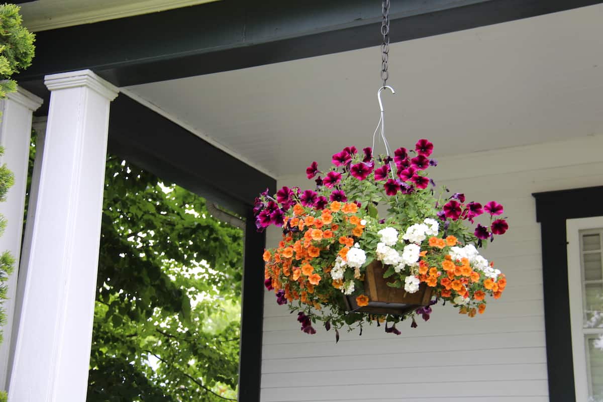 Hanging basket of flowers on front porch - gift for mothers day