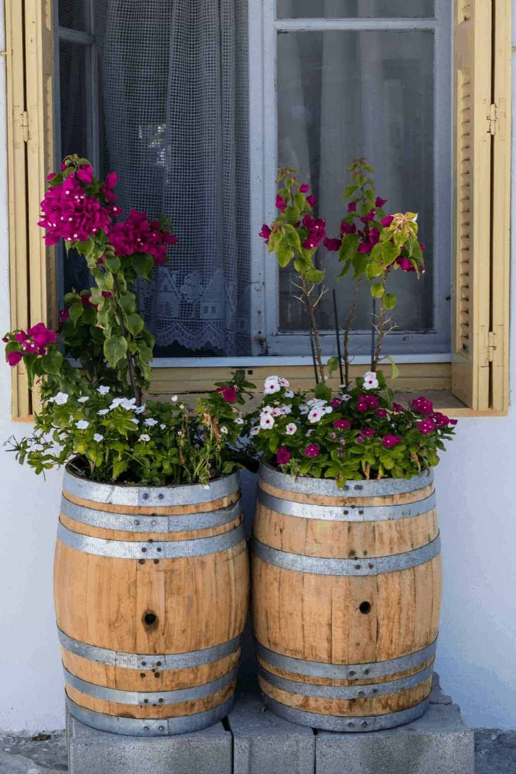 Whiskey barrel planter ideas 🌸 💡 Unique and rustic creative charm