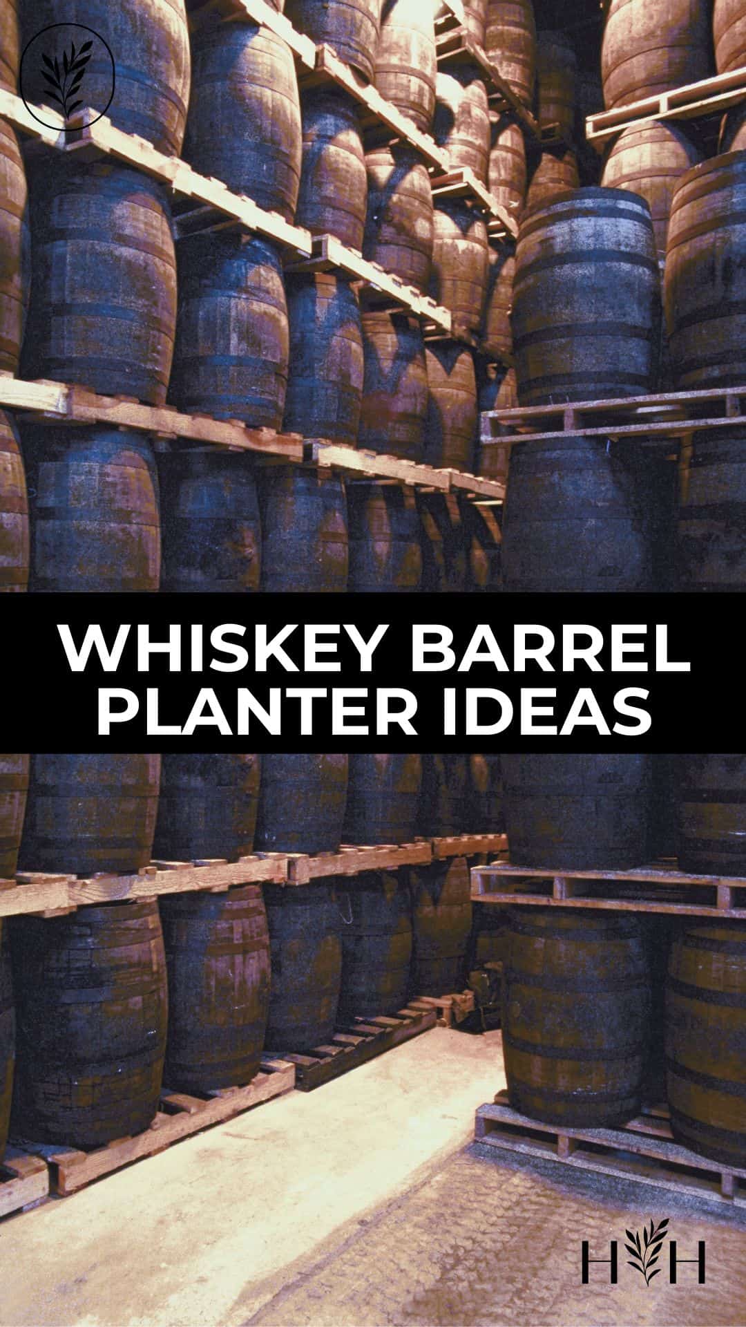 Whiskey barrel planter ideas via @home4theharvest