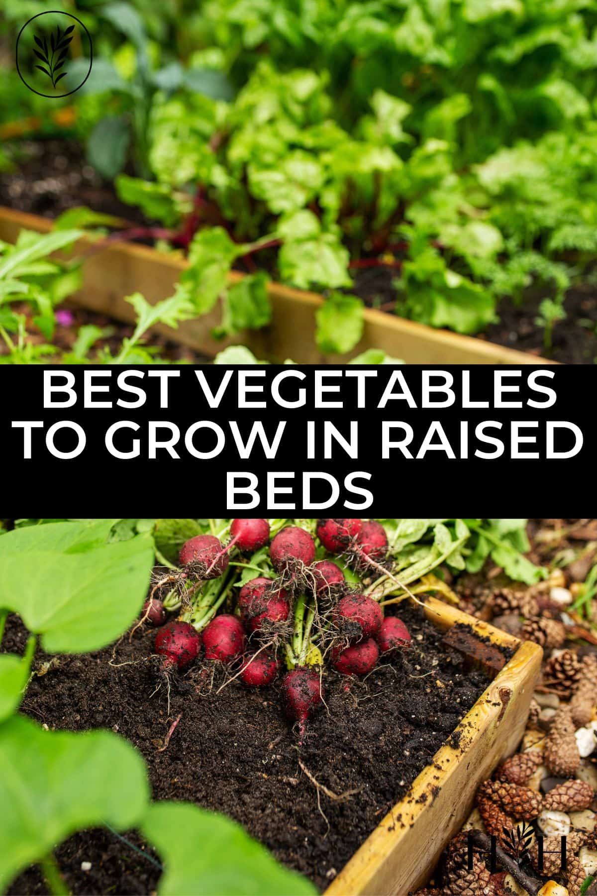 Best vegetables to grow in raised beds via @home4theharvest