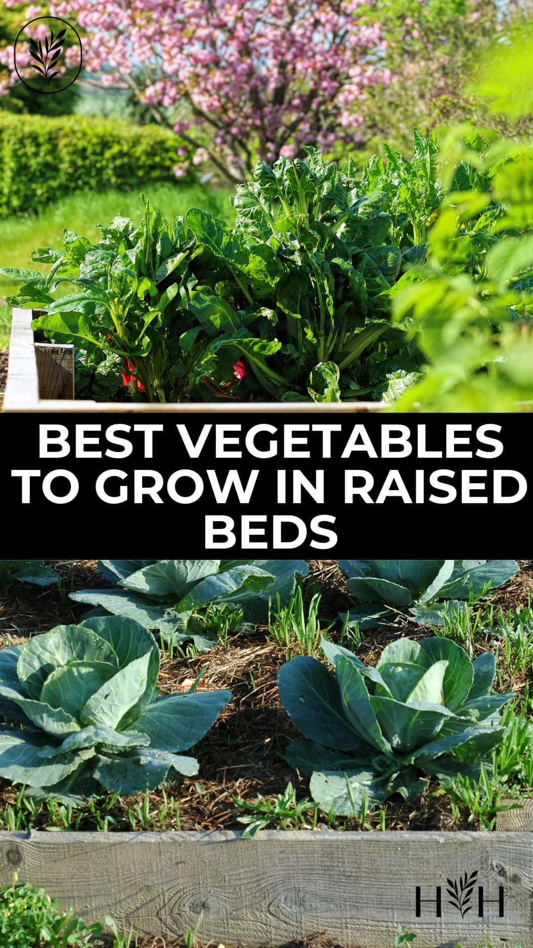 Best vegetables to grow in raised beds via @home4theharvest