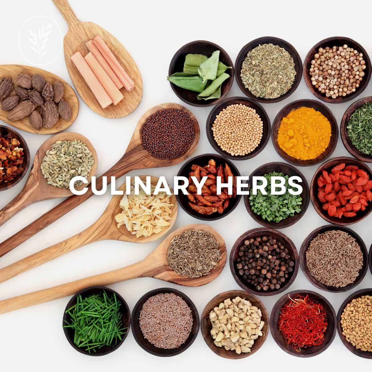 Culinary herbs via @home4theharvest