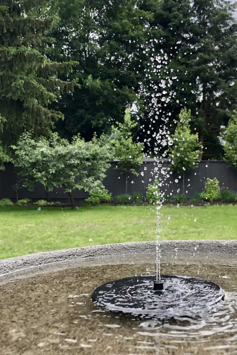 Solar bird bath fountain in backyard