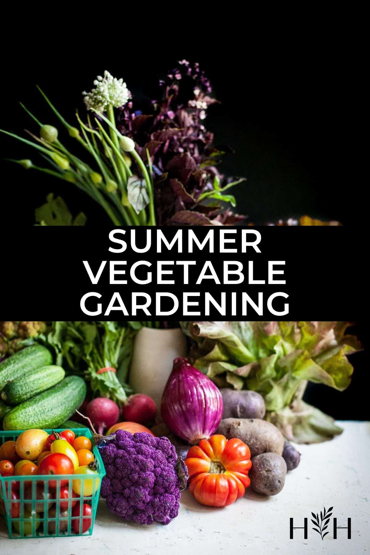 Summer vegetable gardening via @home4theharvest