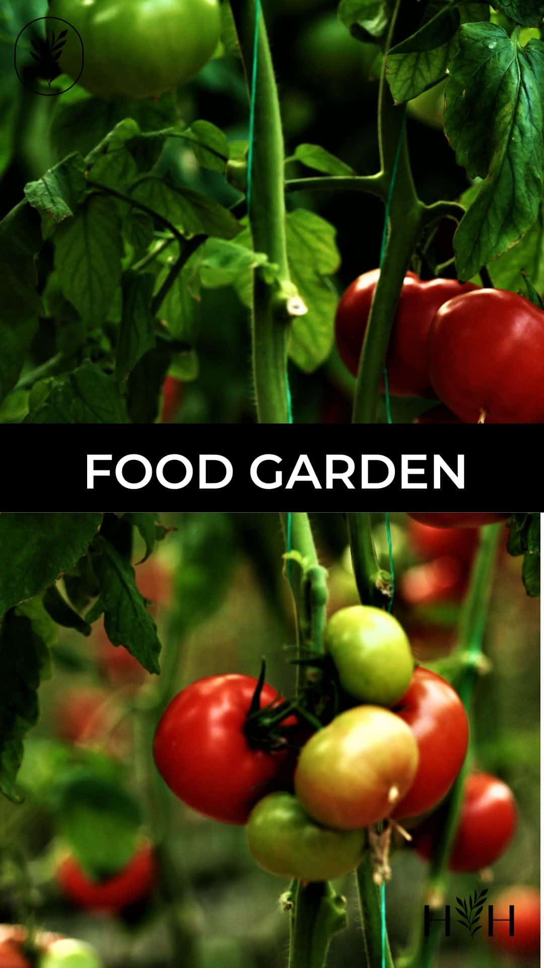 Food garden via @home4theharvest