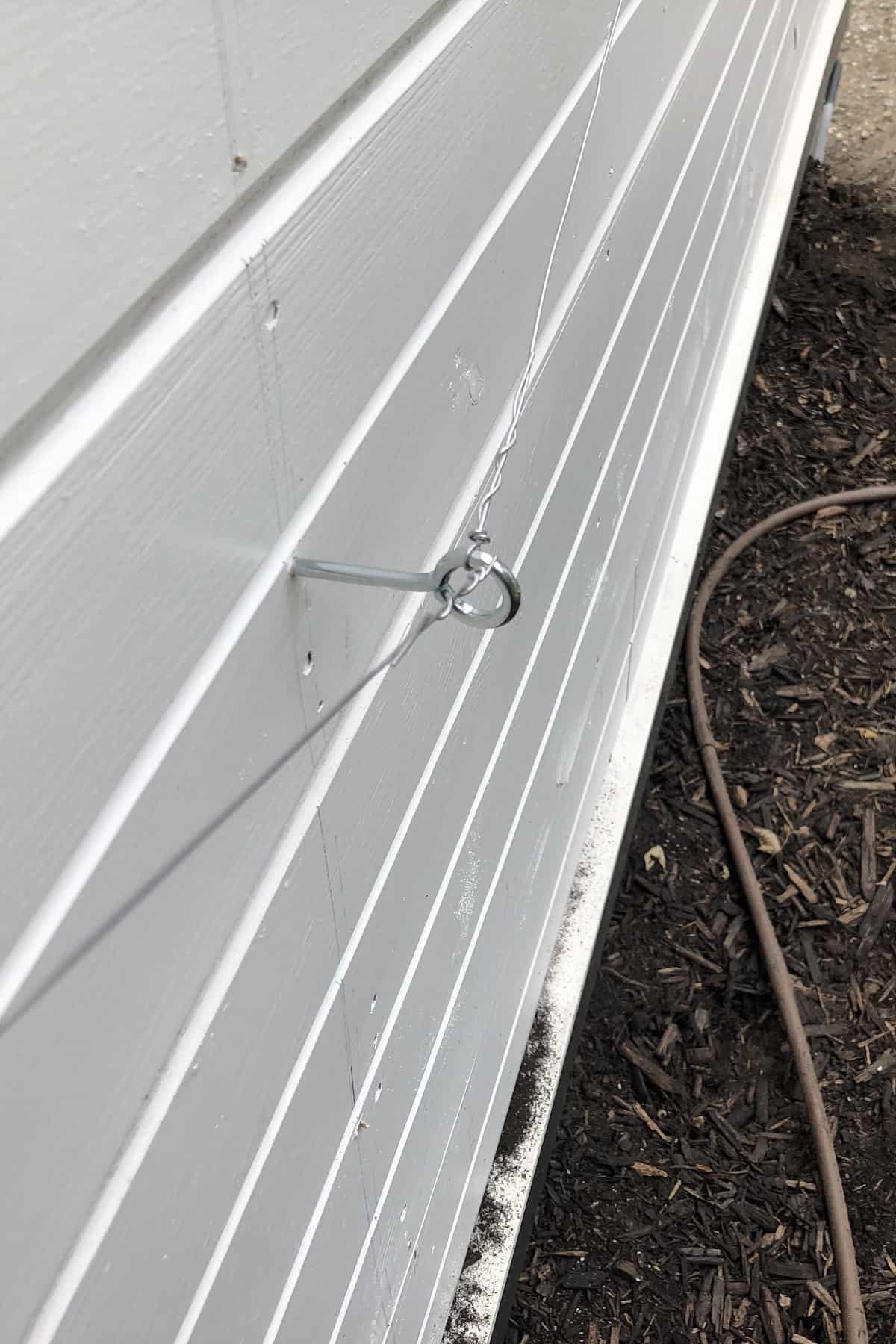 Wire ends tied onto screw eye to make a wall trellis