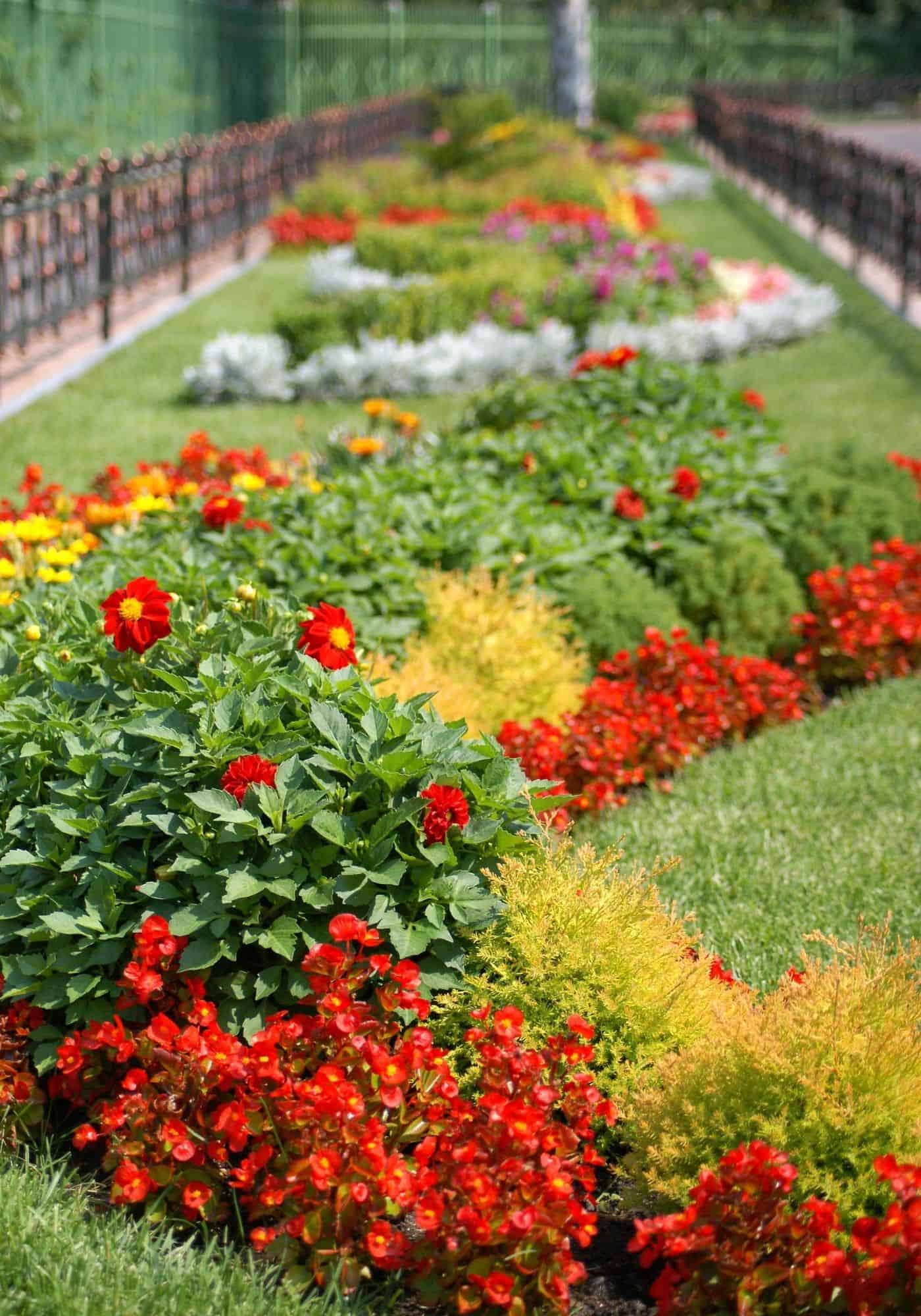 27+ flower bed ideas 🌺 🌿 Turn your garden into a blossoming paradise
