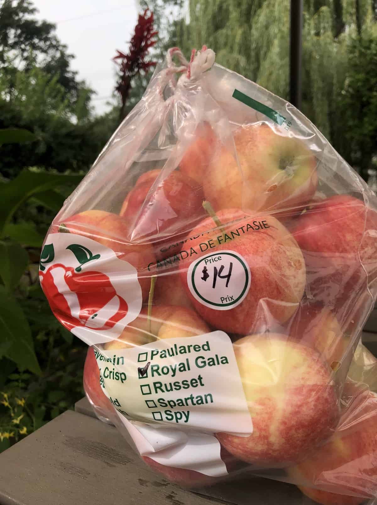10-lb bag of apples