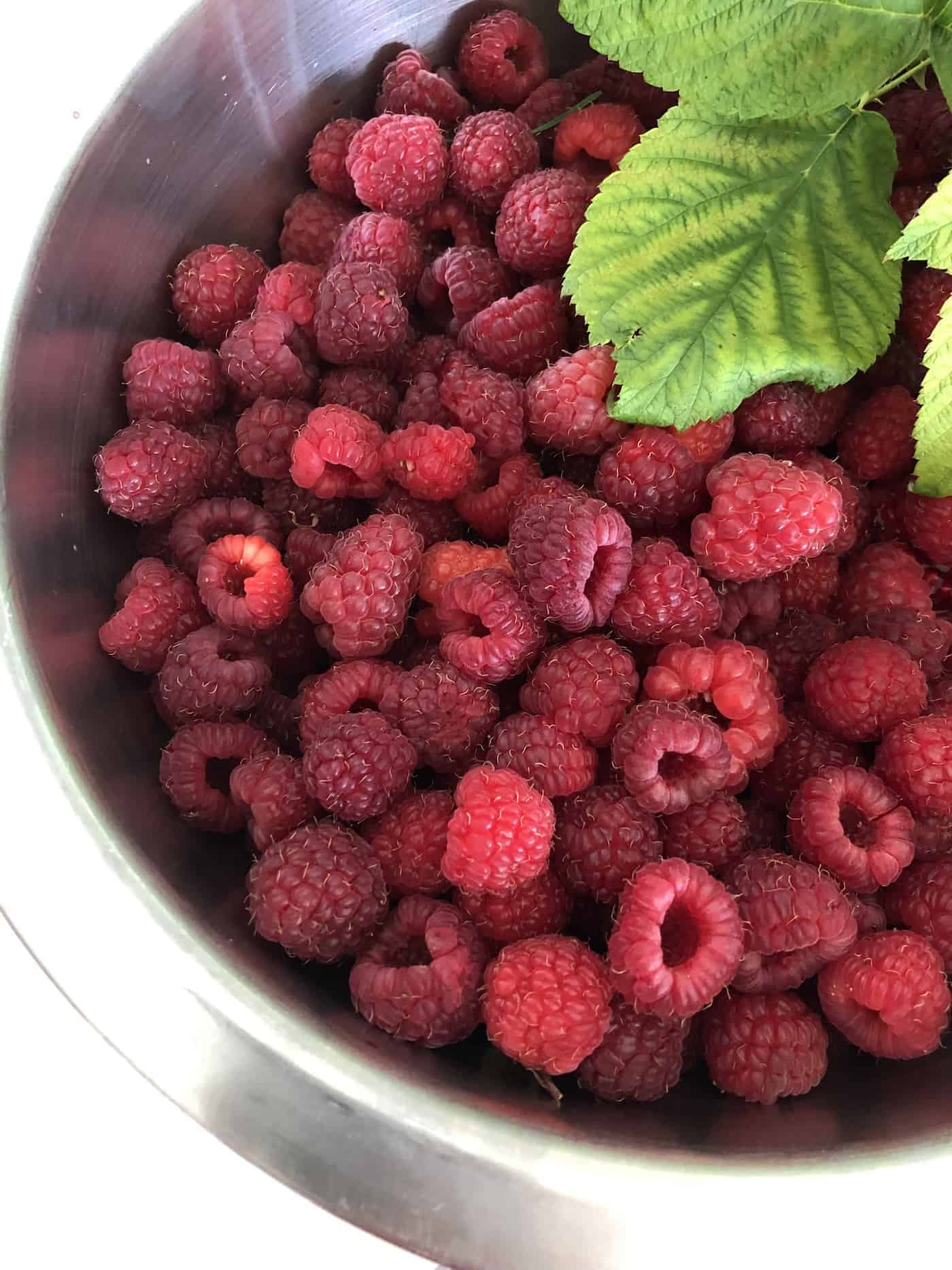 Delicious home grown raspberries