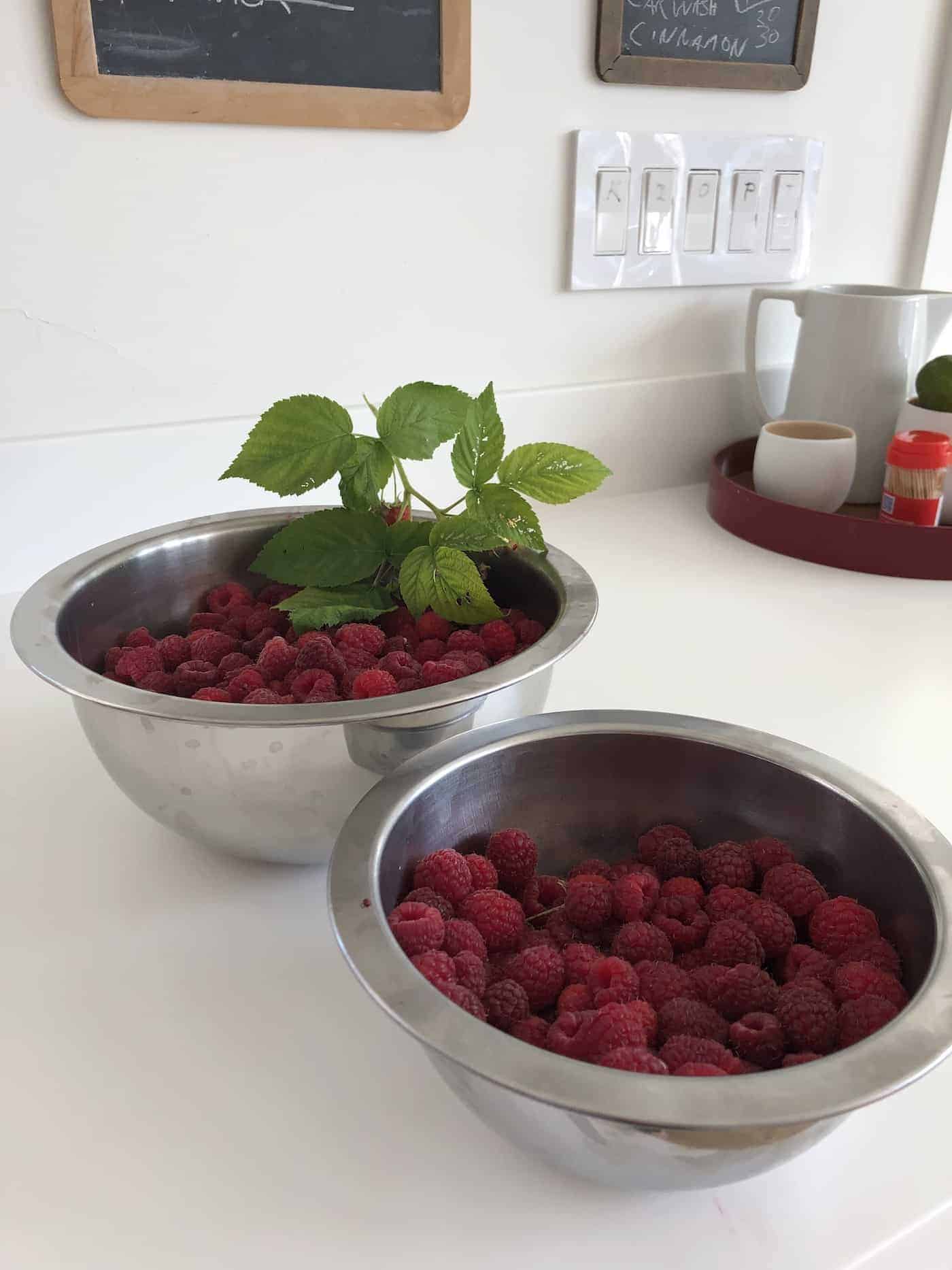Fertilizing raspberry plants in your garden