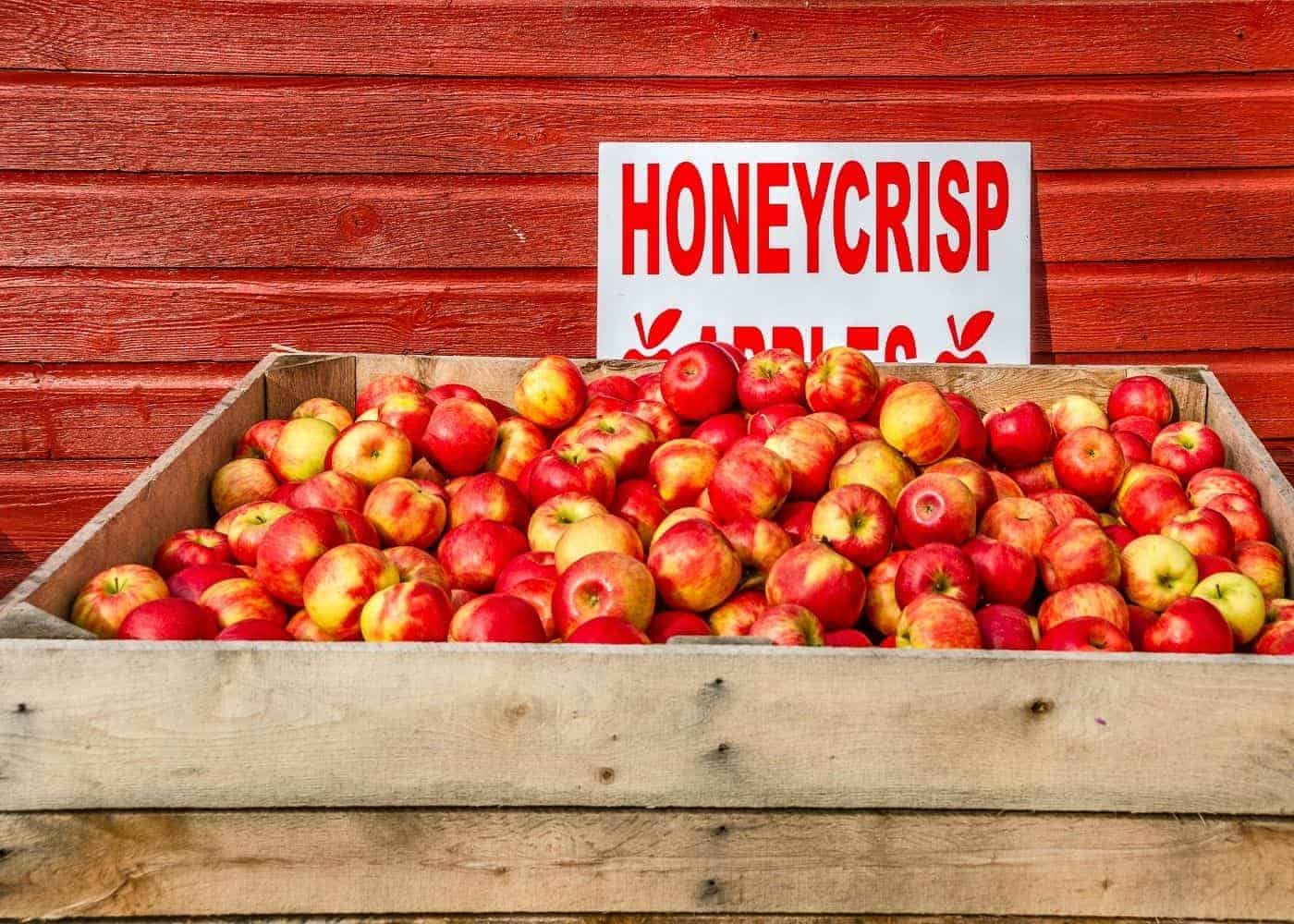 Honeycrisp apples in a crate at a farm market store