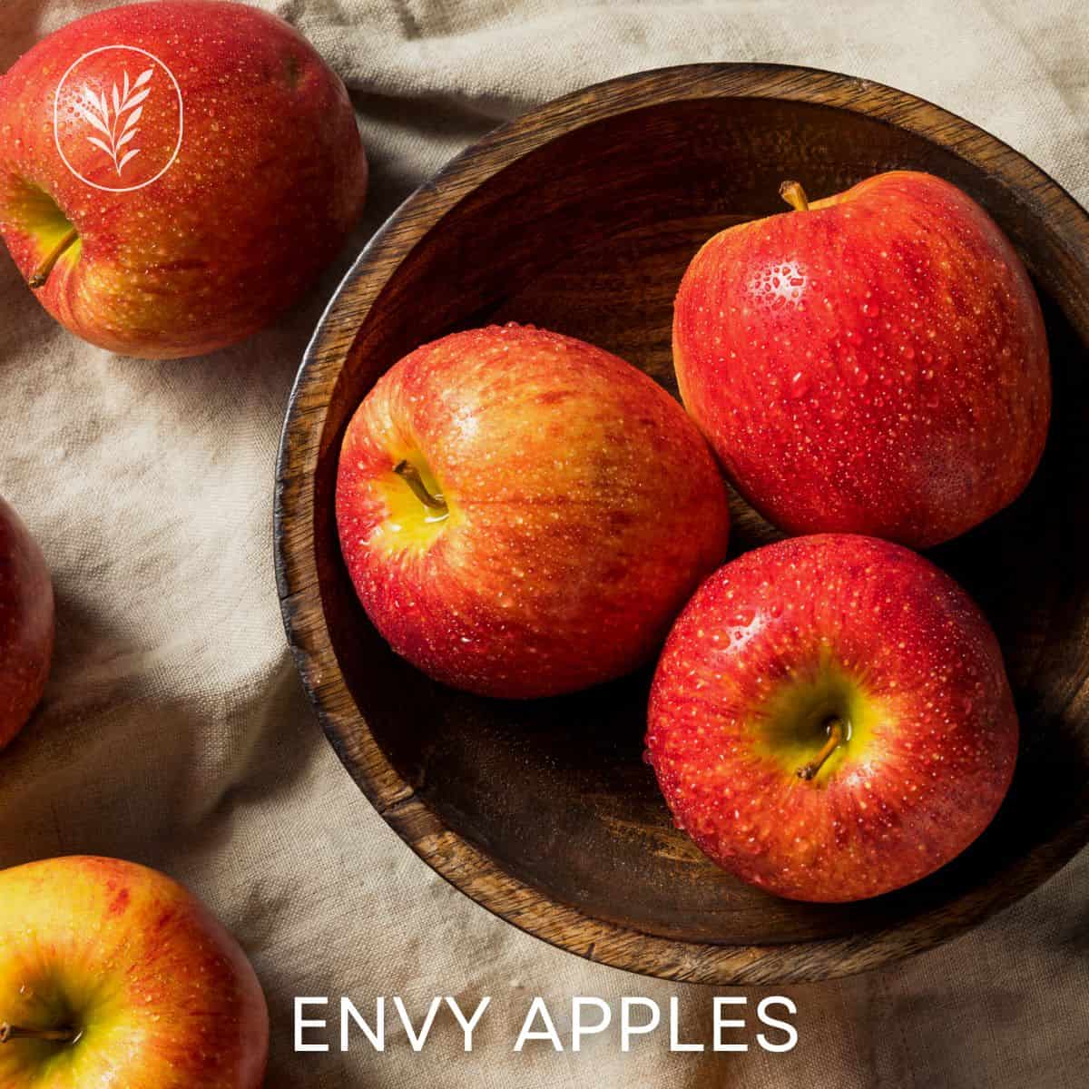 Envy apples via @home4theharvest