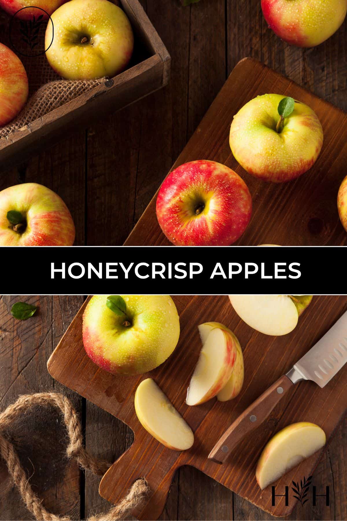 Honeycrisp apples via @home4theharvest
