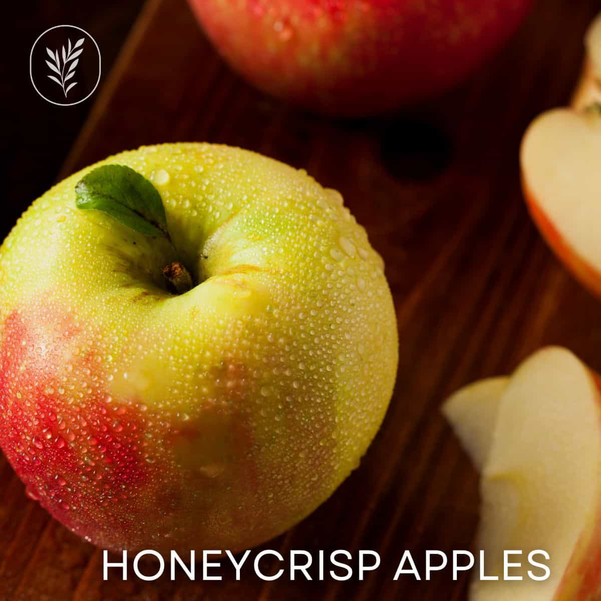 Honeycrisp apples via @home4theharvest
