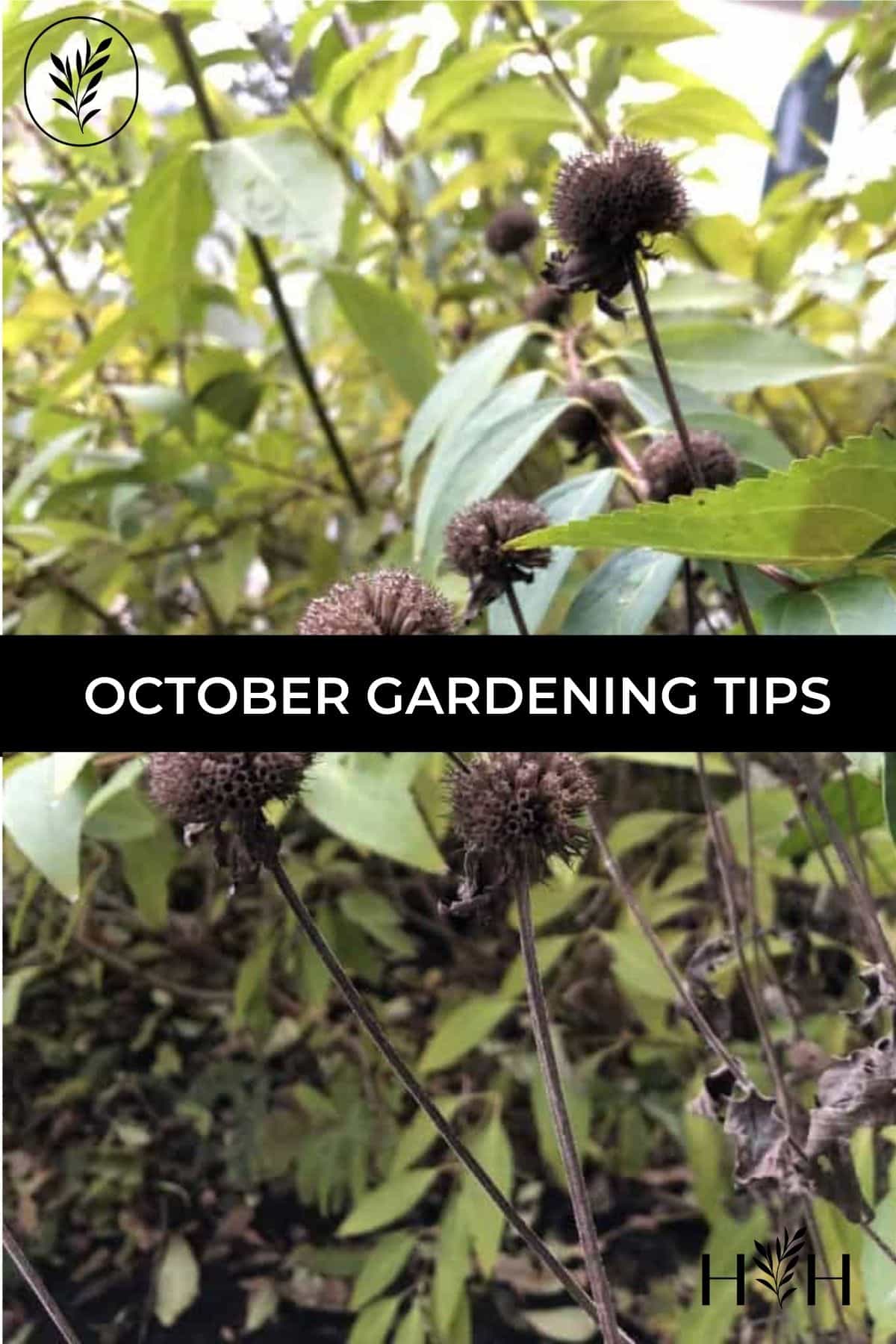 October gardening tips via @home4theharvest