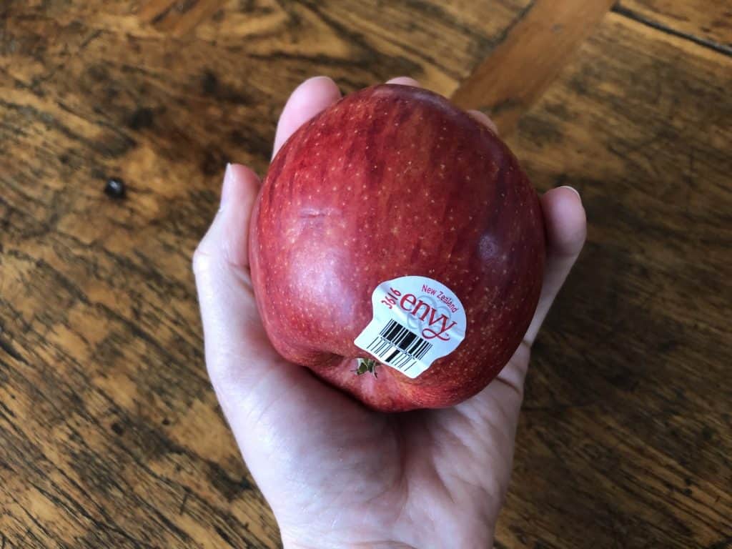 Red envy tm apple held in hand