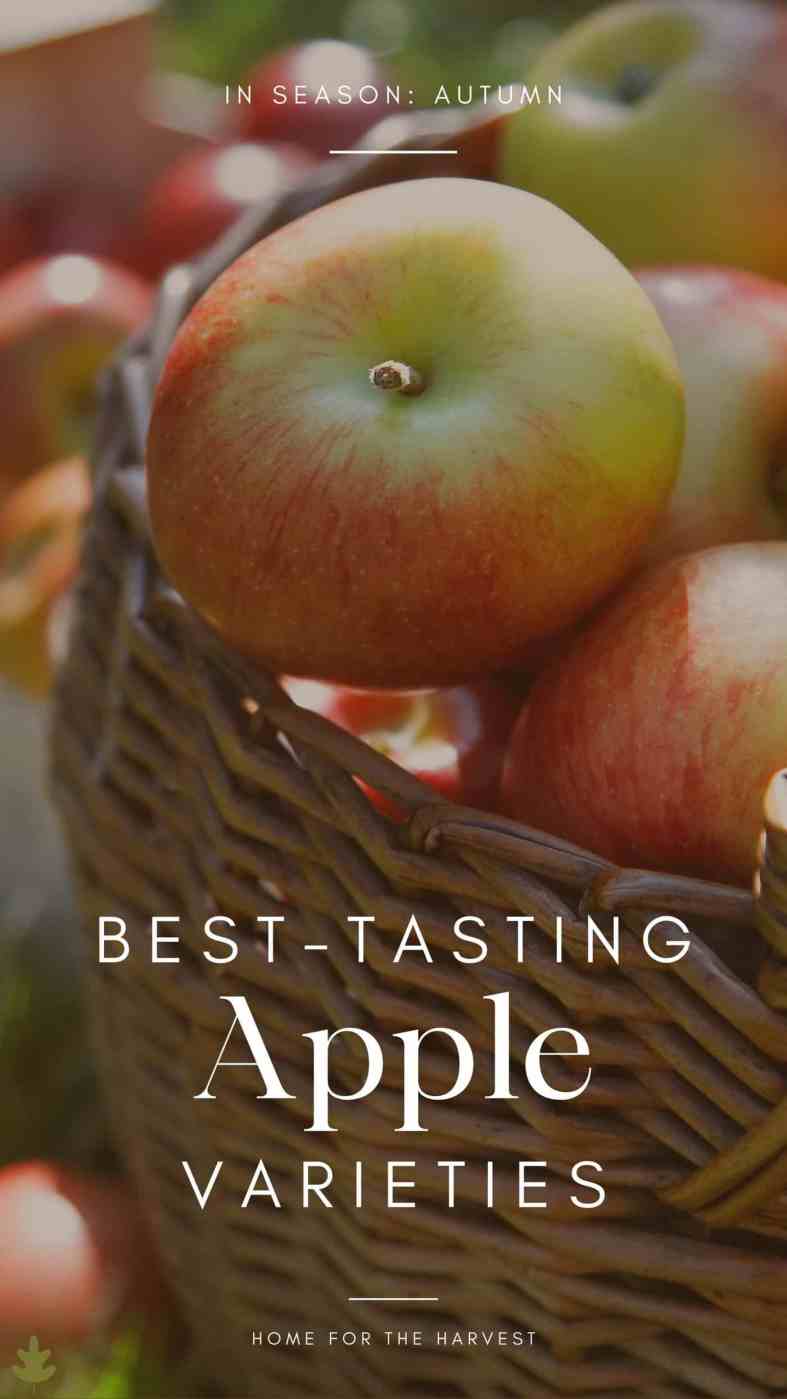 The Best Tasting Apples 25+ Delicious Apple Varieties