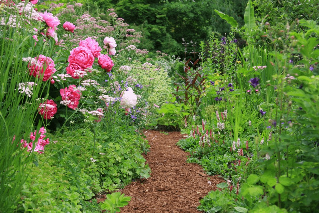 Flower border garden path