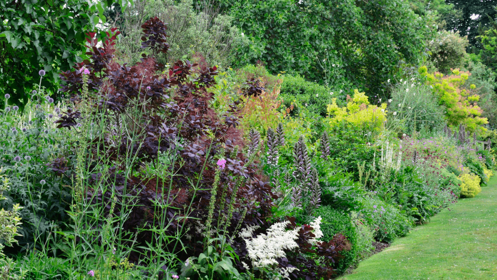 Pollinator Border Garden Example