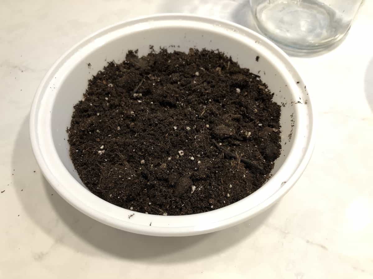 Potting soil in white circle tray