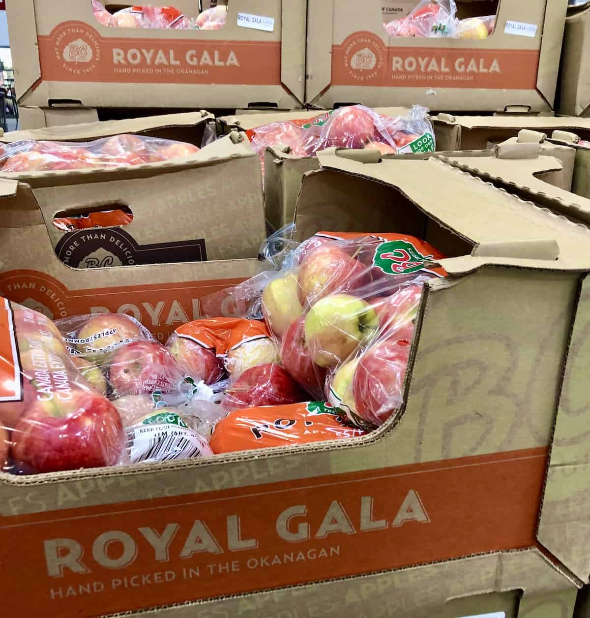 25 best apples for applesauce 🍏 🍎 Unlock the secret to perfect sauce