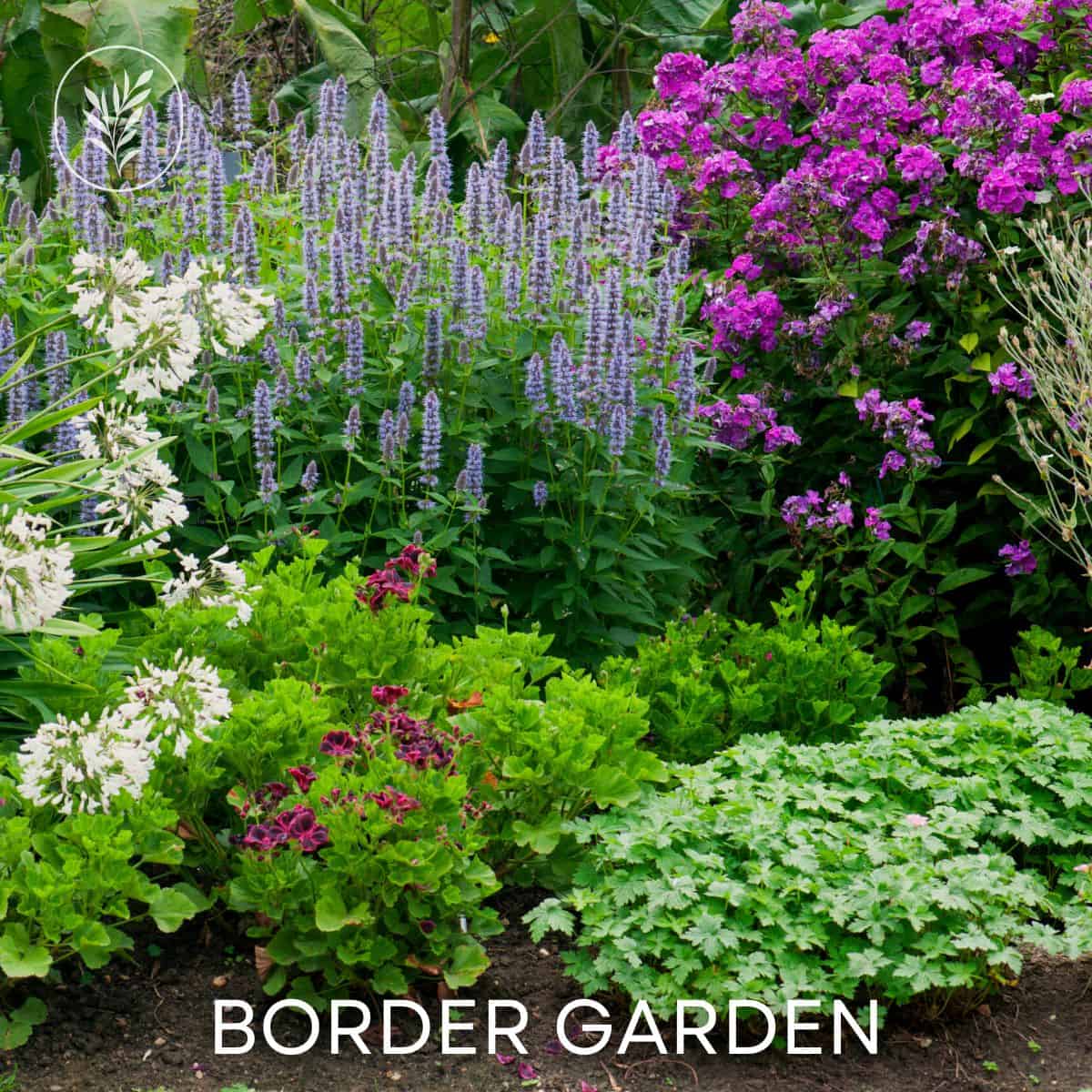 Border garden via @home4theharvest