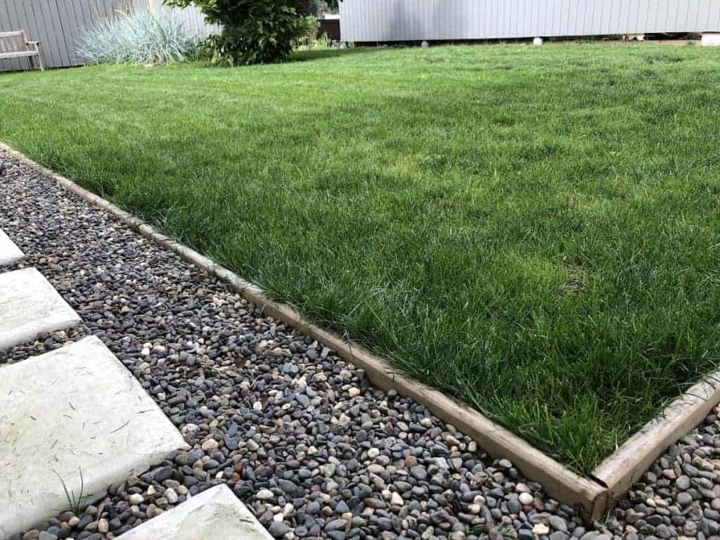 Decorative gravel border on path beside green grass lawn backyard