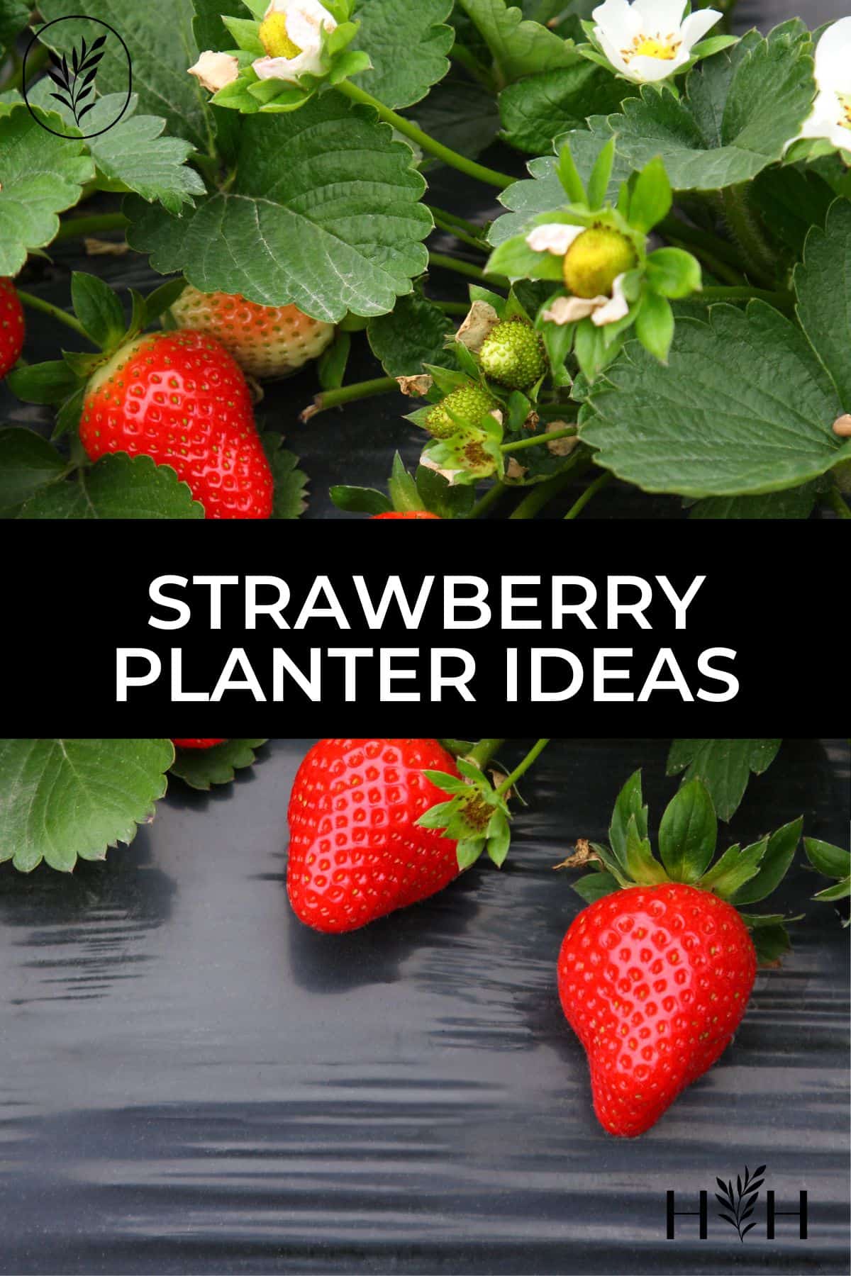 Strawberry planter ideas via @home4theharvest