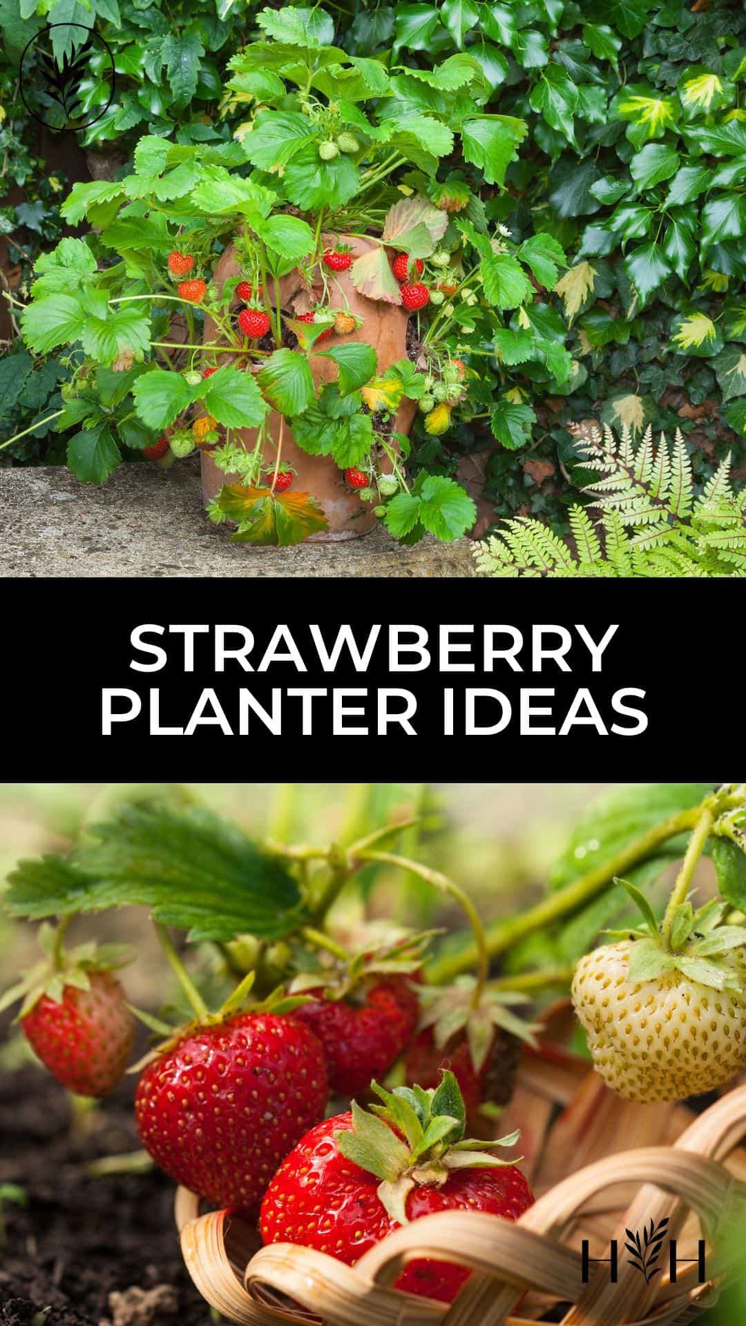 Strawberry planter ideas via @home4theharvest
