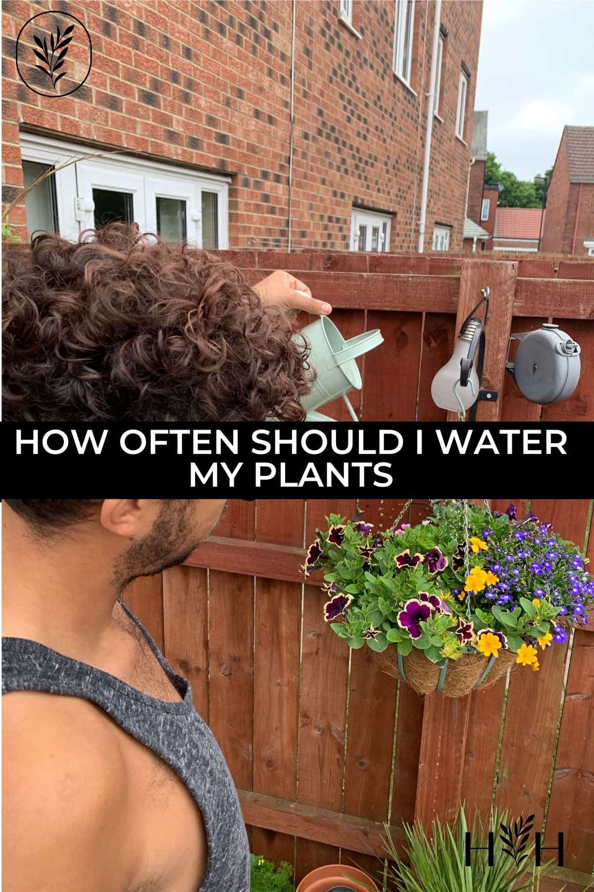 How often should i water my plants via @home4theharvest