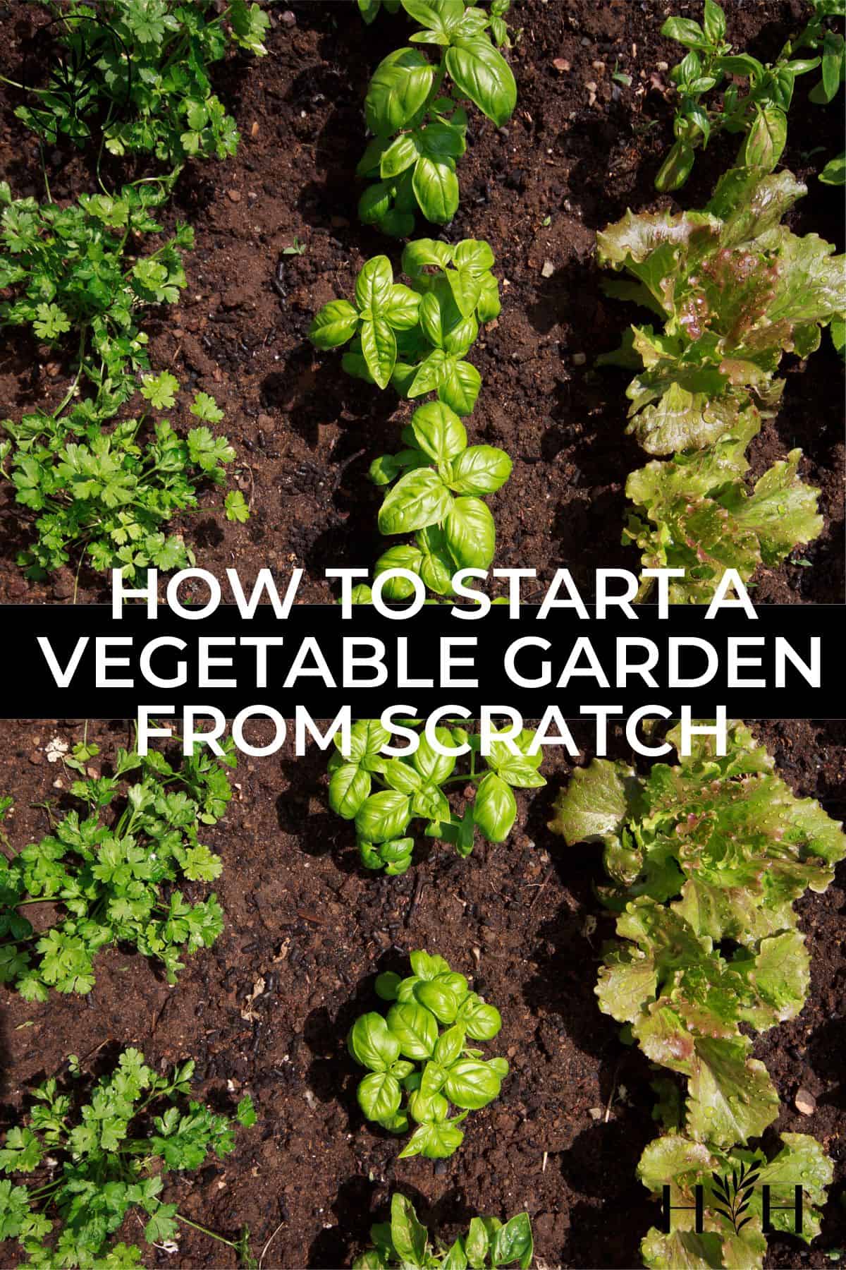 How to start a vegetable garden from scratch via @home4theharvest