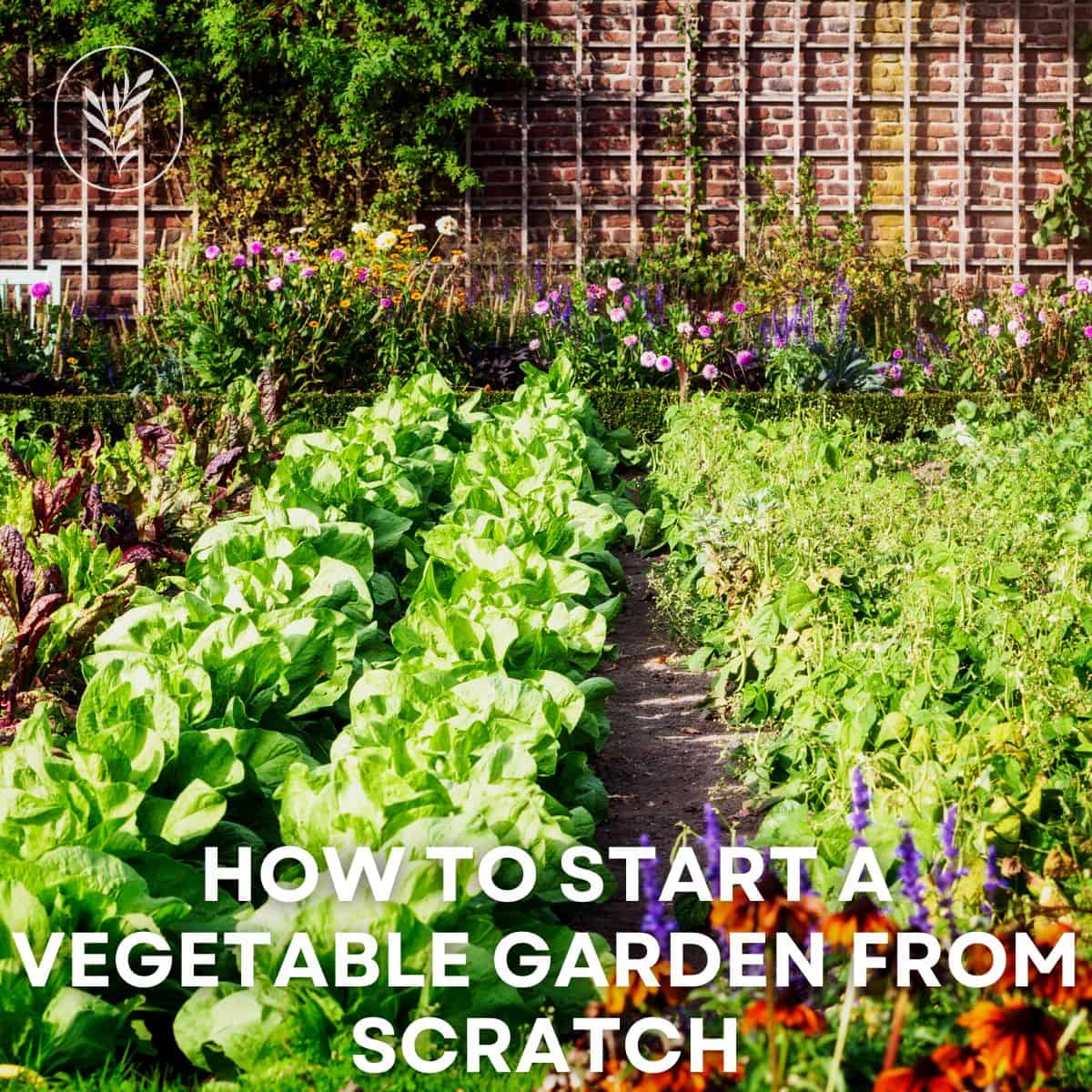 How to start a vegetable garden from scratch via @home4theharvest