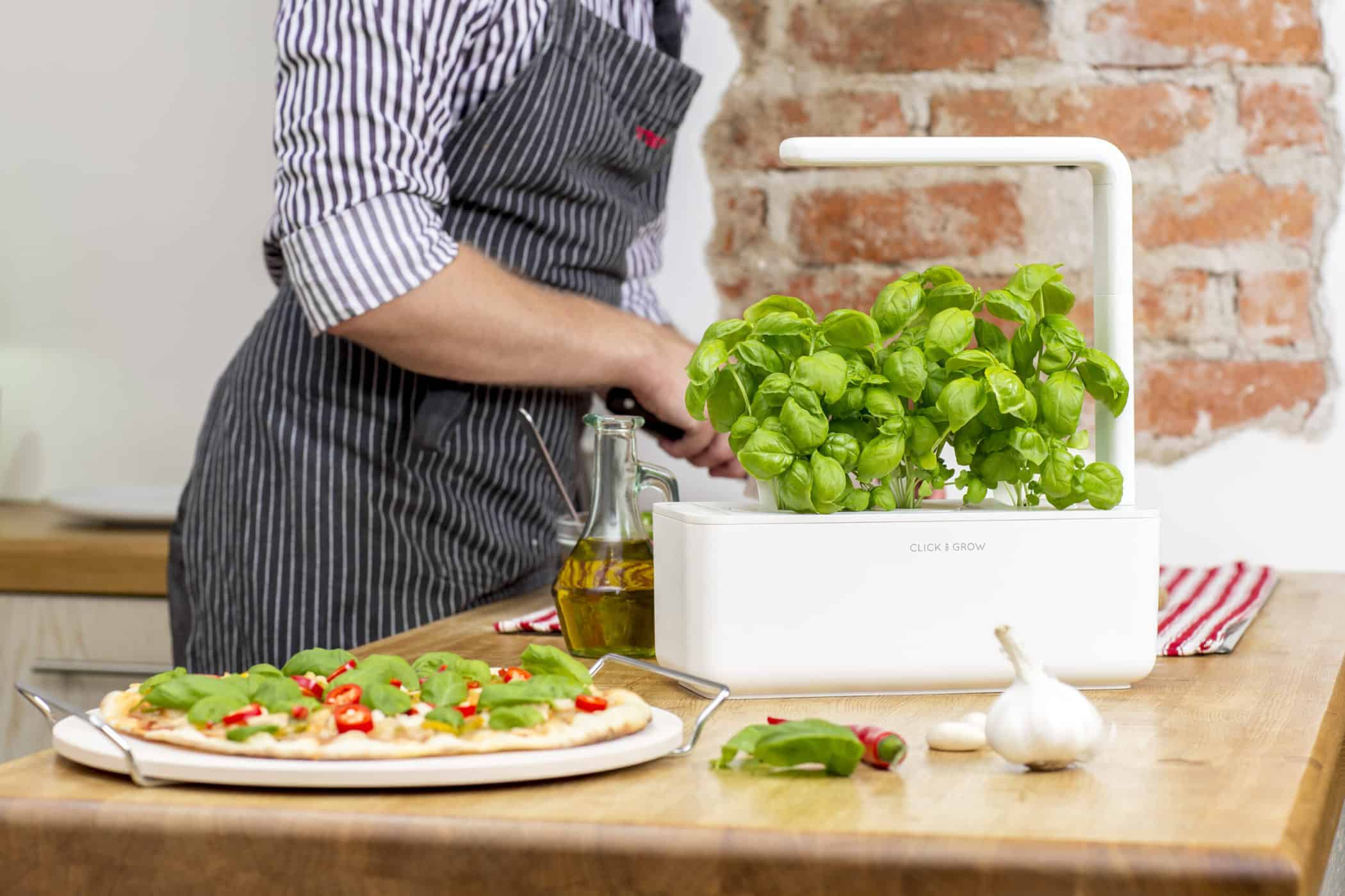 Click and grow smart garden basil pizza - photo by click and grow