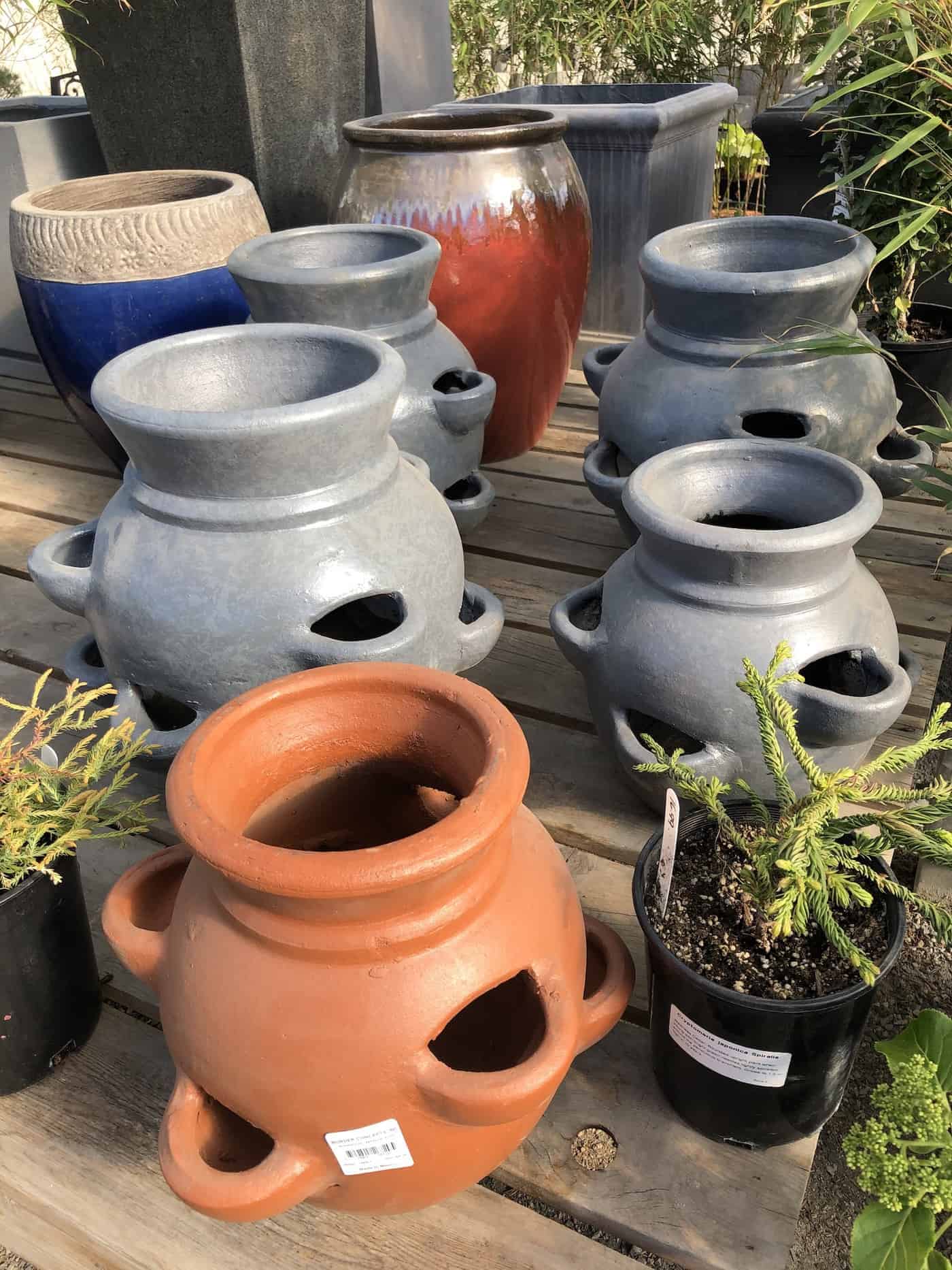 terra cotta and clay strawberry pots