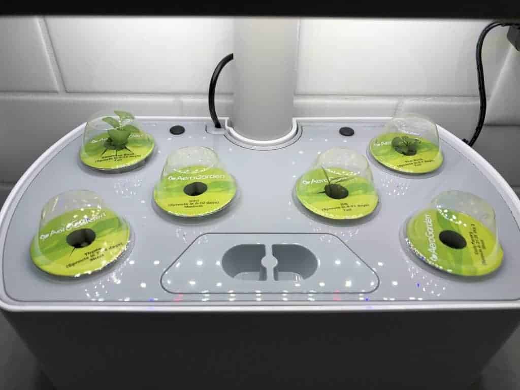 Aerogarden plant pods starting to sprout