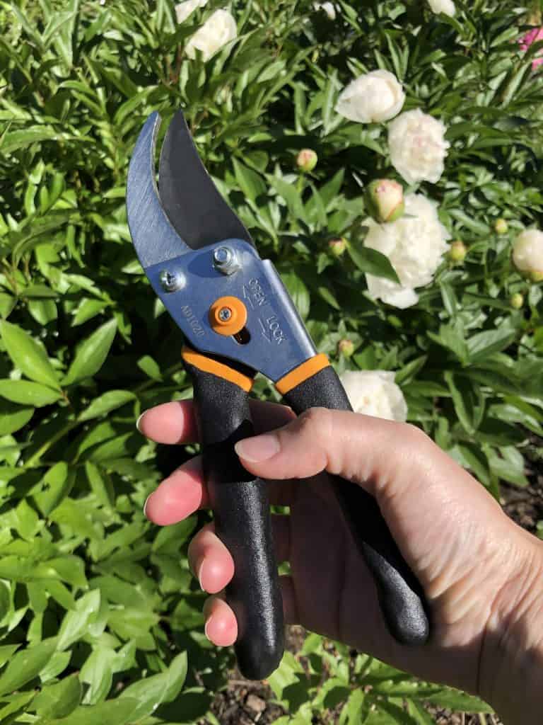 Fiskars pruning shears - review