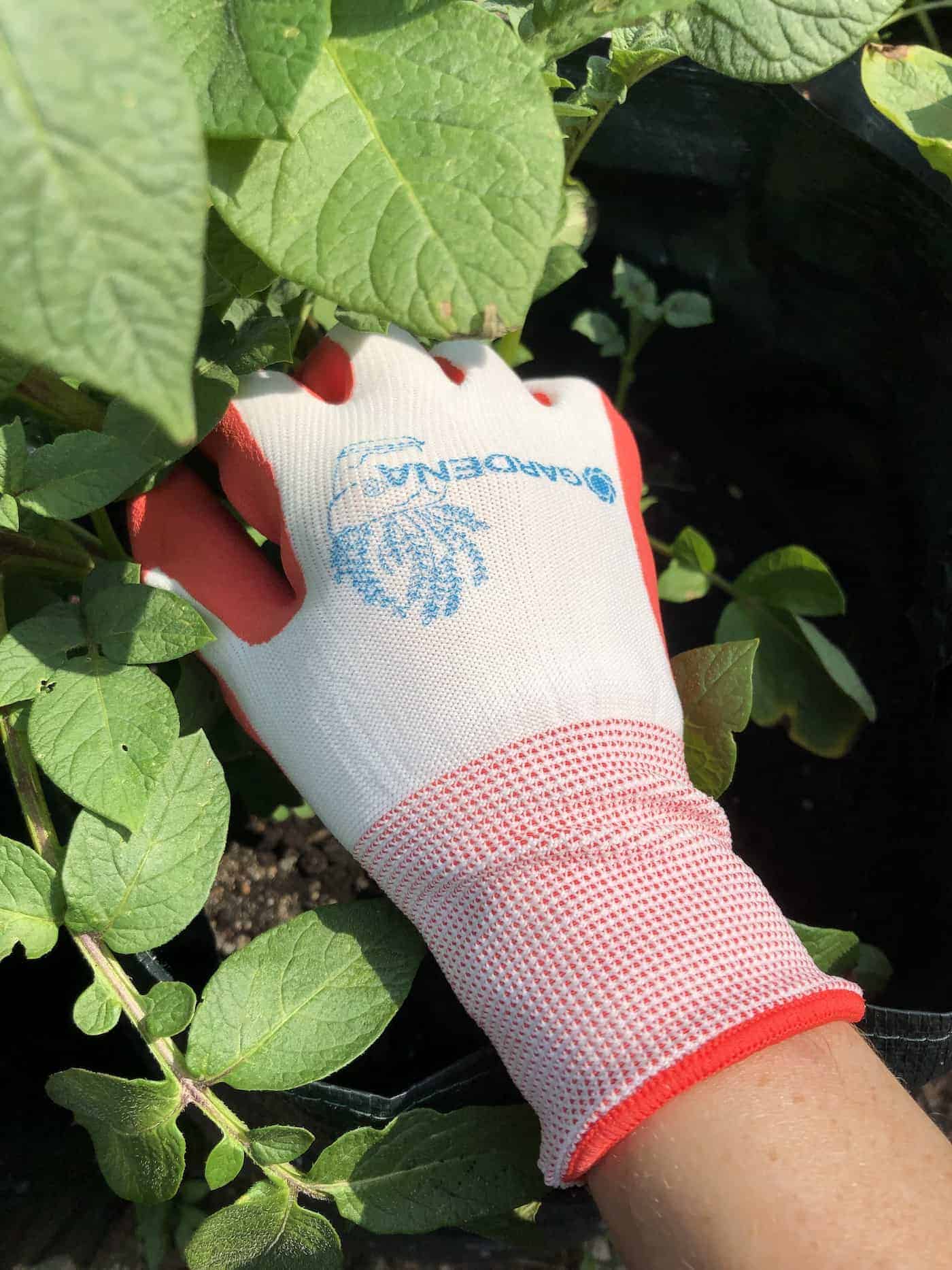 Gardena Gloves - red coral gardening gloves