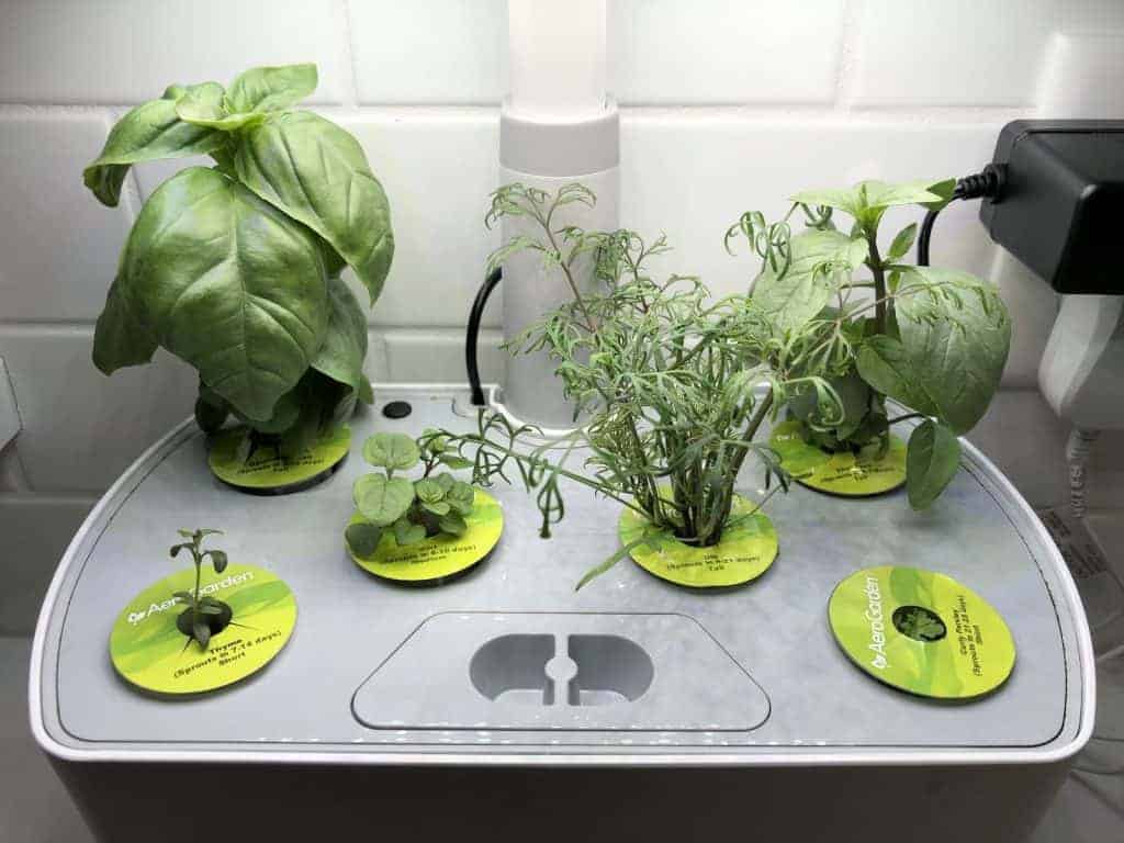Aerogarden Review Smart Garden Basics Costs And Which Model To Choose Home For The Harvest