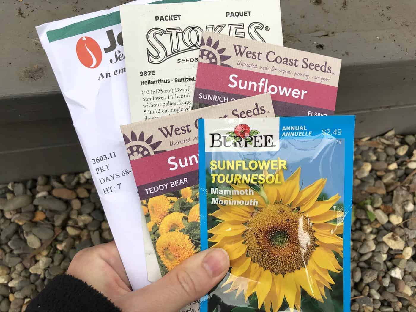 Packets of sunflower seeds