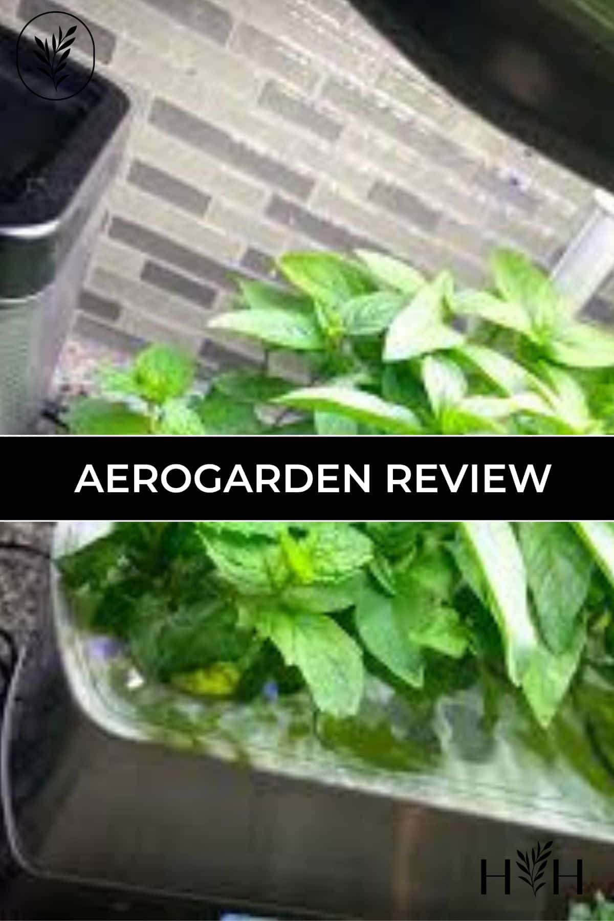 I absolutely love my aerogarden! There are a few different models from which to choose. I like the harvest aerogarden smart garden, as its super cost-effective and easy to use #garden #gardening #aerogarden via @home4theharvest
