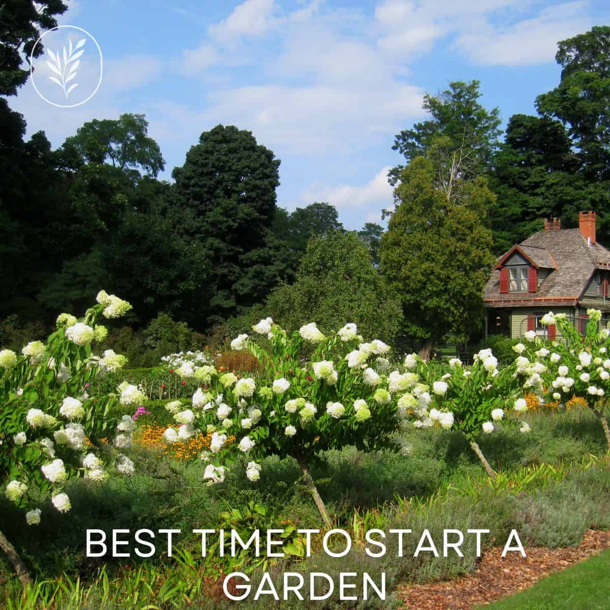 Best time to start a garden via @home4theharvest