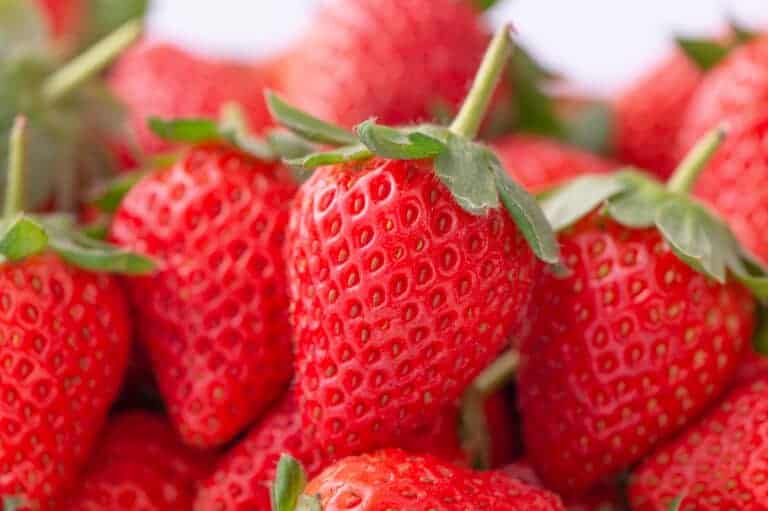 eversweet strawberries