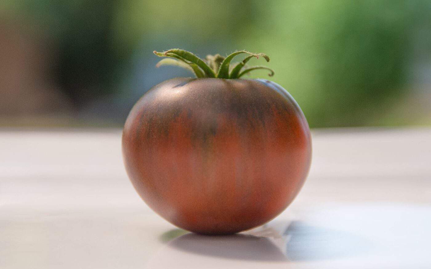 Cherokee Purple tomato 🍅 💜 Unlock the secrets of growing this heirloom