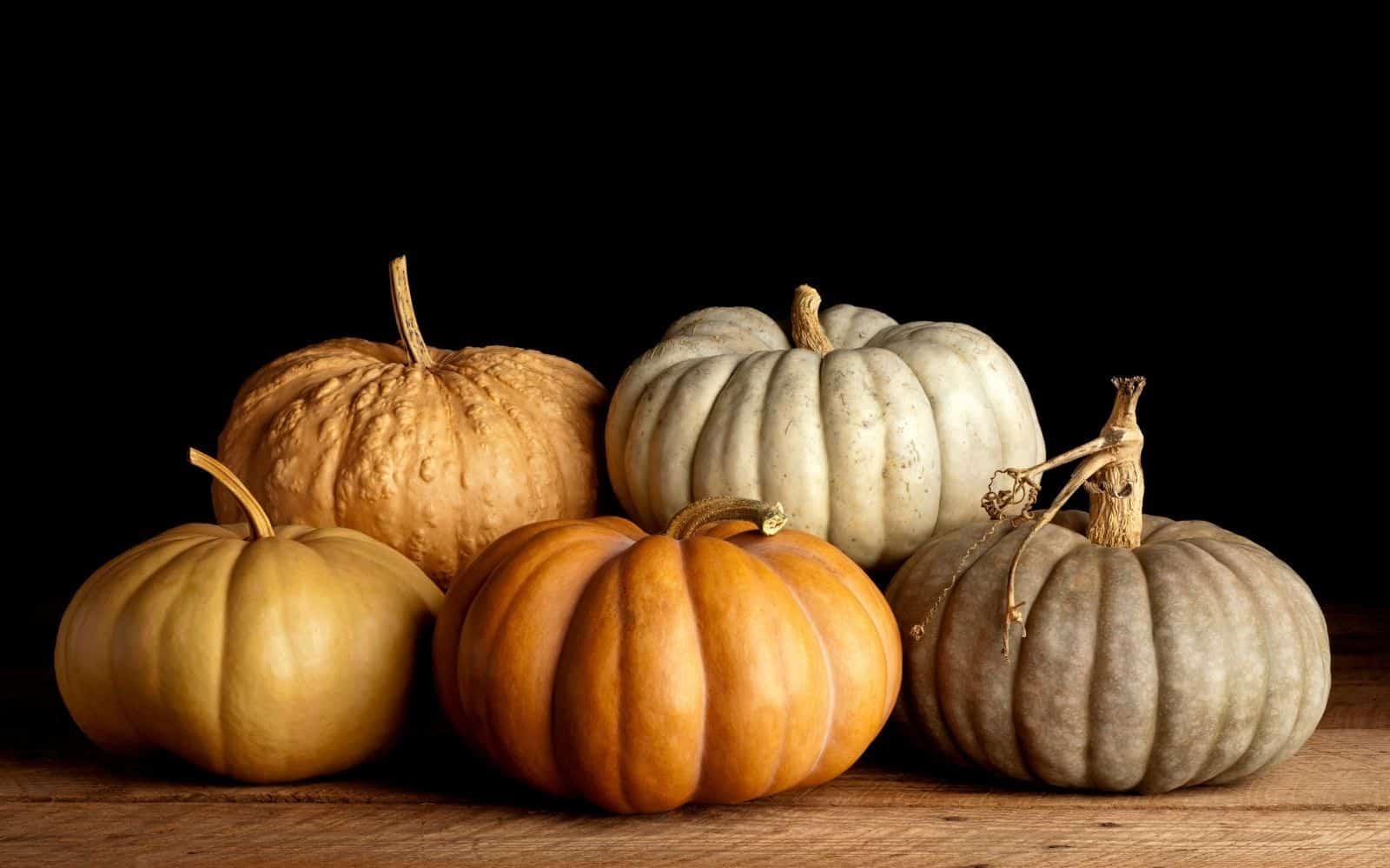 Heirloom pumpkins