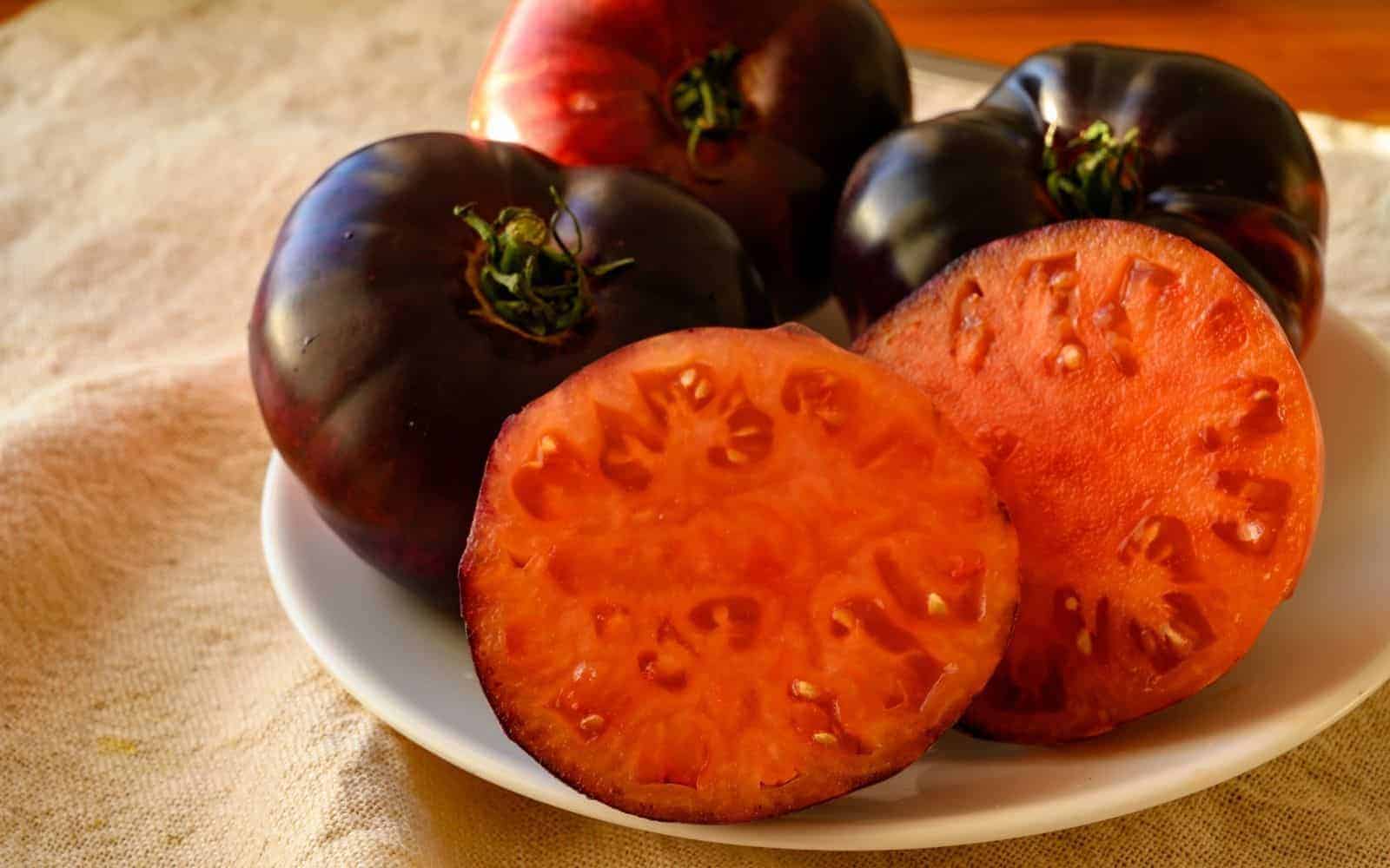 Purple calabash tomatoes