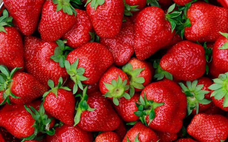 Strawberry Varieties