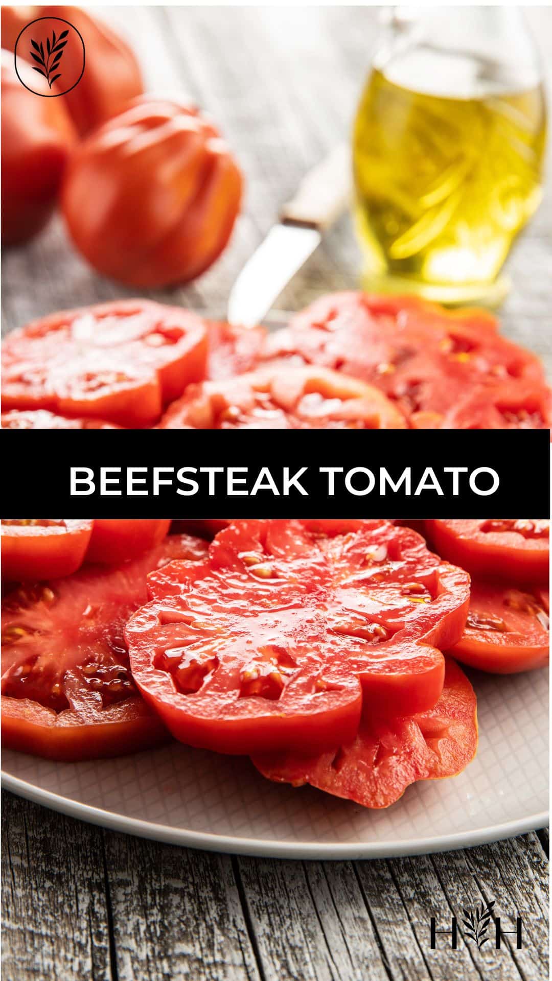 Beefsteak tomato via @home4theharvest