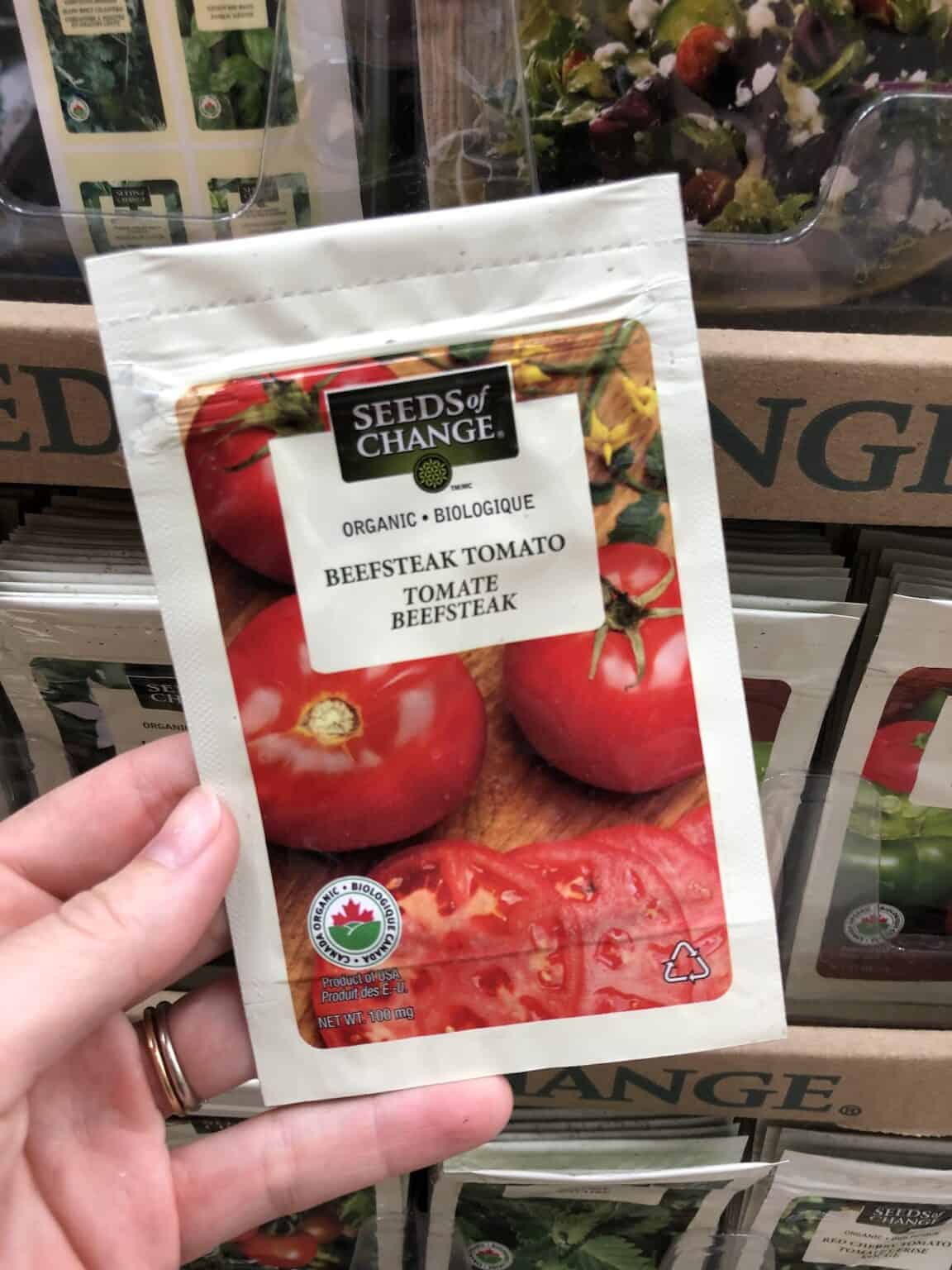 Beefsteak tomato 🍅 🌱 Uncover the secrets to growing this hearty slicer variety